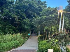 -野狸岛