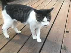 -有才叔的小馆(招商依云曲江店)