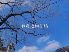 -老门东历史文化街区