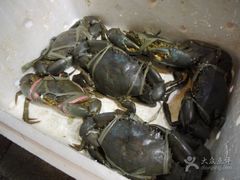-桥底辣蟹(谢斐道店)