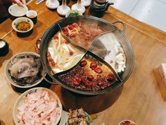 -白乐天毛肚火锅馆(解放碑店)