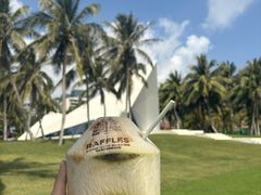 -海南清水湾莱佛士酒店