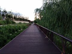 -奥华餐厅·老张记(台基厂店)