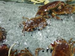 android_upload_pic-渔傅·蓝海岸霞浦海鲜(正祥店)