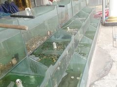 -四海鲜渔家菜(黄金海岸店)