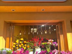 -溪岸路花鸟市场