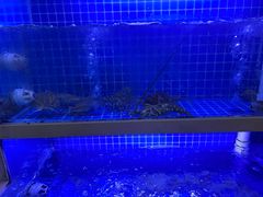 -威海渔村(静安旗舰店)