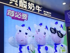 -一只酸奶牛(八一路店)