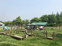 -田园东方蜜桃村的田野营地