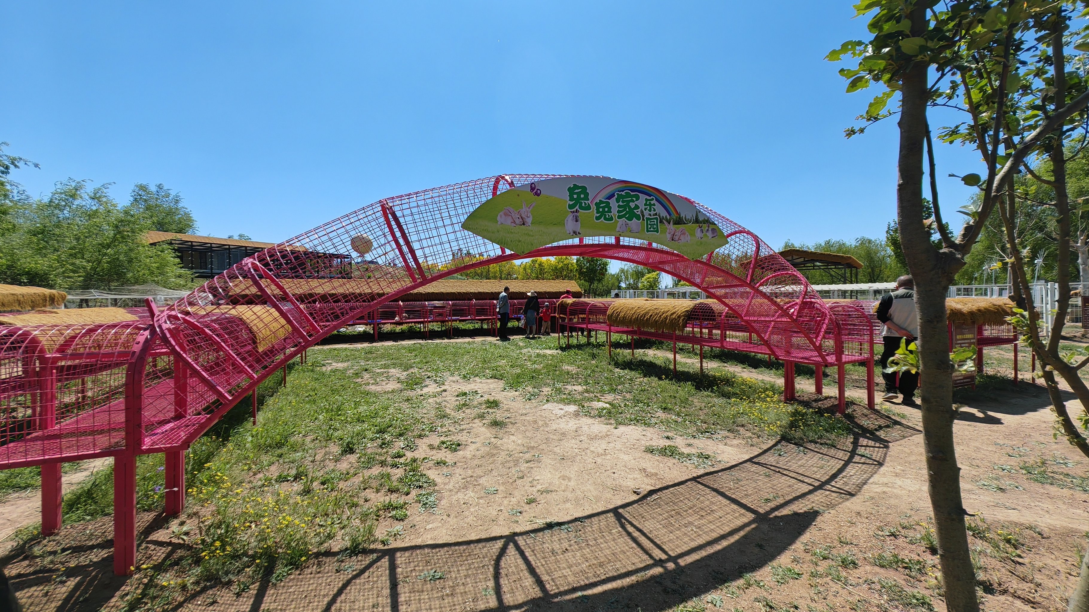 津溪桃源五一期间免费开放,停车也免费哦!