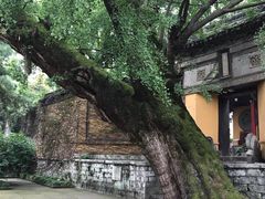 -无锡惠山寺