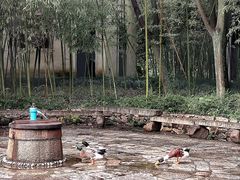 -乌村