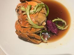 -杨氏青龙虾·羊蝎子(金盛路总店)