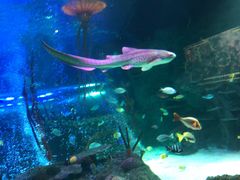 -沈阳海洋探索中心