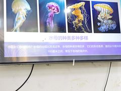 -尼莫儿童美术(三阳路融科天城校区)