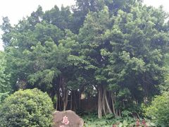 -乌山风景区