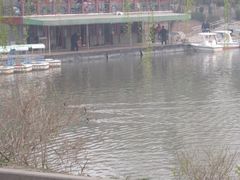 -紫竹院公园冰场