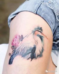 -组合纹身穿孔纹眉TATTOO