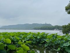 -湖畔居茶楼(湖滨店)