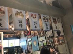 -猫咪博物馆(顶澳仔猫街店)