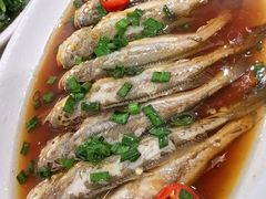 -张桥杨记羊肉饭店