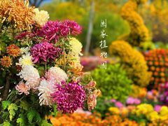 -国家植物园