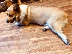 -阿木舂记·特色小吃(平江路店)