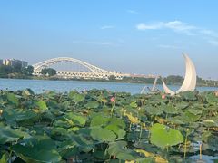 -澹台湖公园