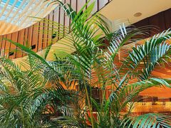 -北京望京凯悦酒店The Lounge大堂酒廊