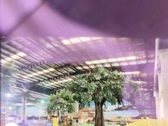 -南宫温泉水世界