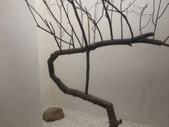 -喜茶(深圳海岸城店)