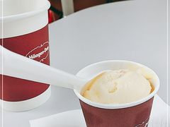 -哈根达斯(美罗城店)