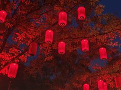 -淄博聊斋城景区
