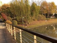 -南翔镇银翔湖公园