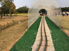 -长洲岛都市农业公园