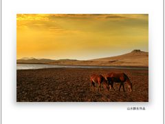 -塞罕坝国家级自然保护区