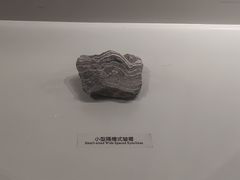 -长江文明馆