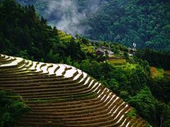 -龙脊梯田