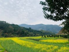 -新安江山水画廊风景区
