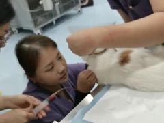 -萌兽医馆·犬猫专科·眼科中心·宠物医院(朝阳门分院)