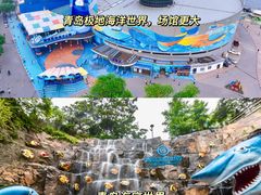 -海合安青岛极地海洋公园
