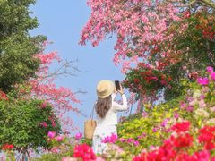 -东莞植物园