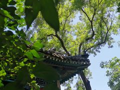 -恭王府博物馆