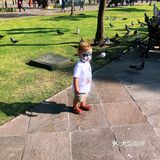 在墨西哥瓜达拉哈拉赶上一场印第安风俗的万圣节🎃