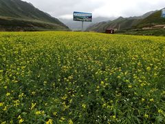 -扁都口生态休闲旅游区