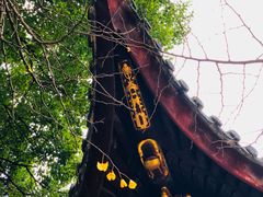 -汇龙潭