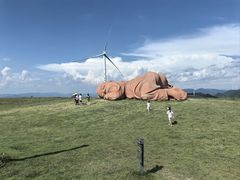 -龙里油画大草原旅游区