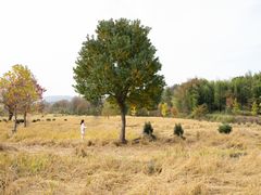 -塔川景区