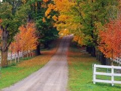 -胡桃里乐队酒馆(鎏嘉码头店)