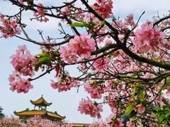 -宝墨园景区